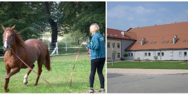 Trafione kierunki nauczania i efektowne wyposażenie. Wciąż rosnący nabór w Centrum Kształcenia Rolniczego w Nowosielcach (FILM)